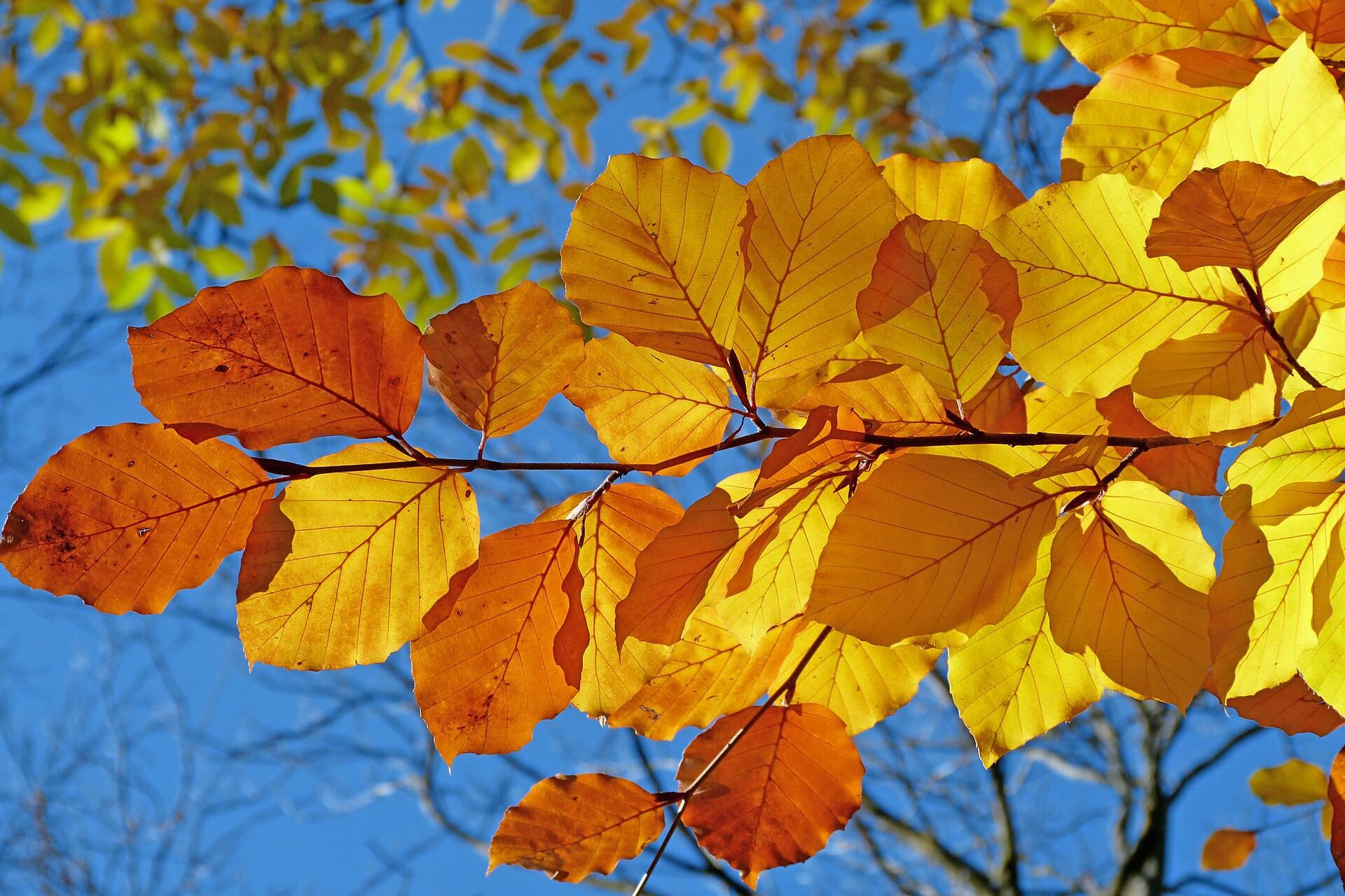 GETTING YOUR PATIO AUTUMN-READY