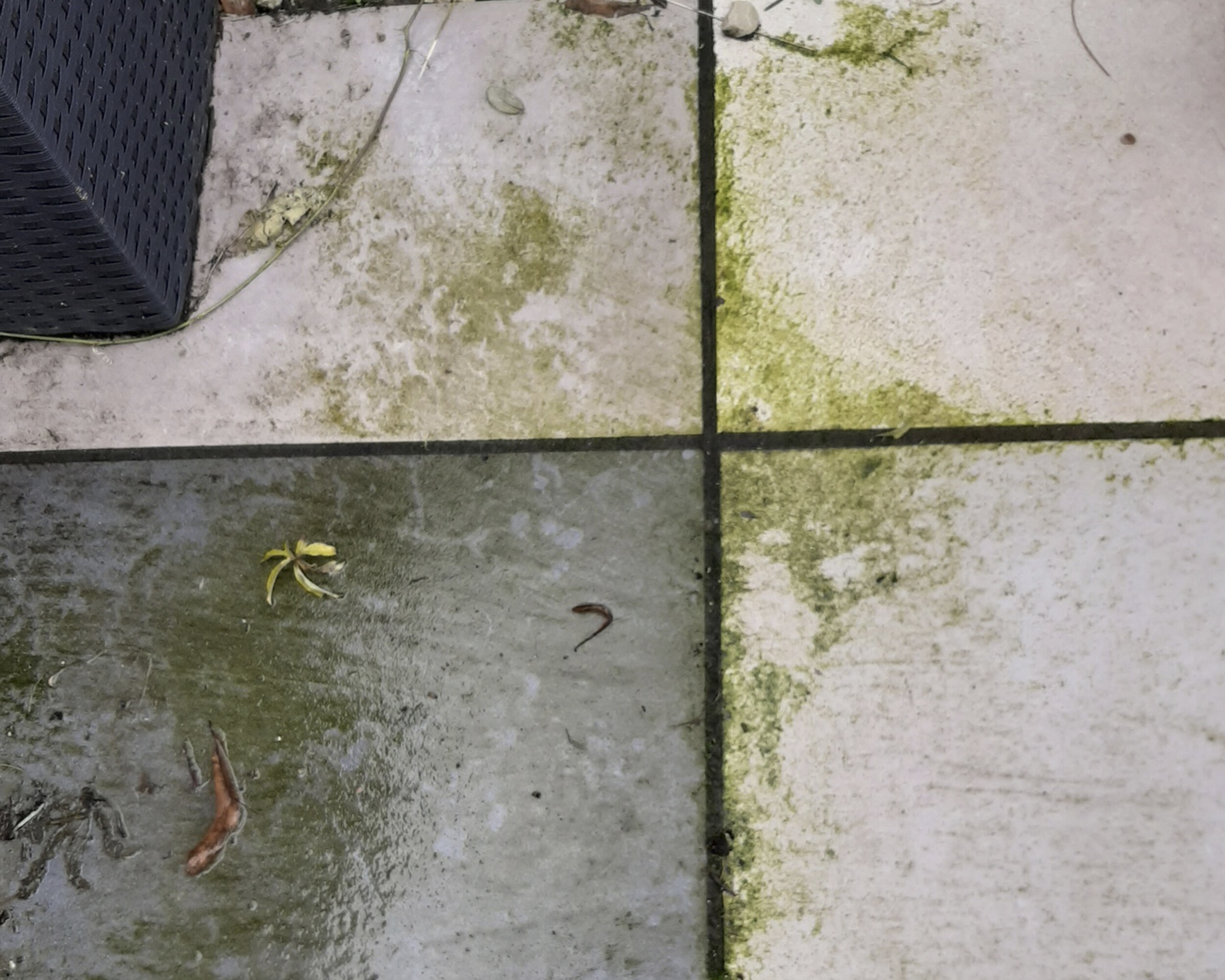 A SOLUTION TO SLIPPERY PATHS & PATIOS