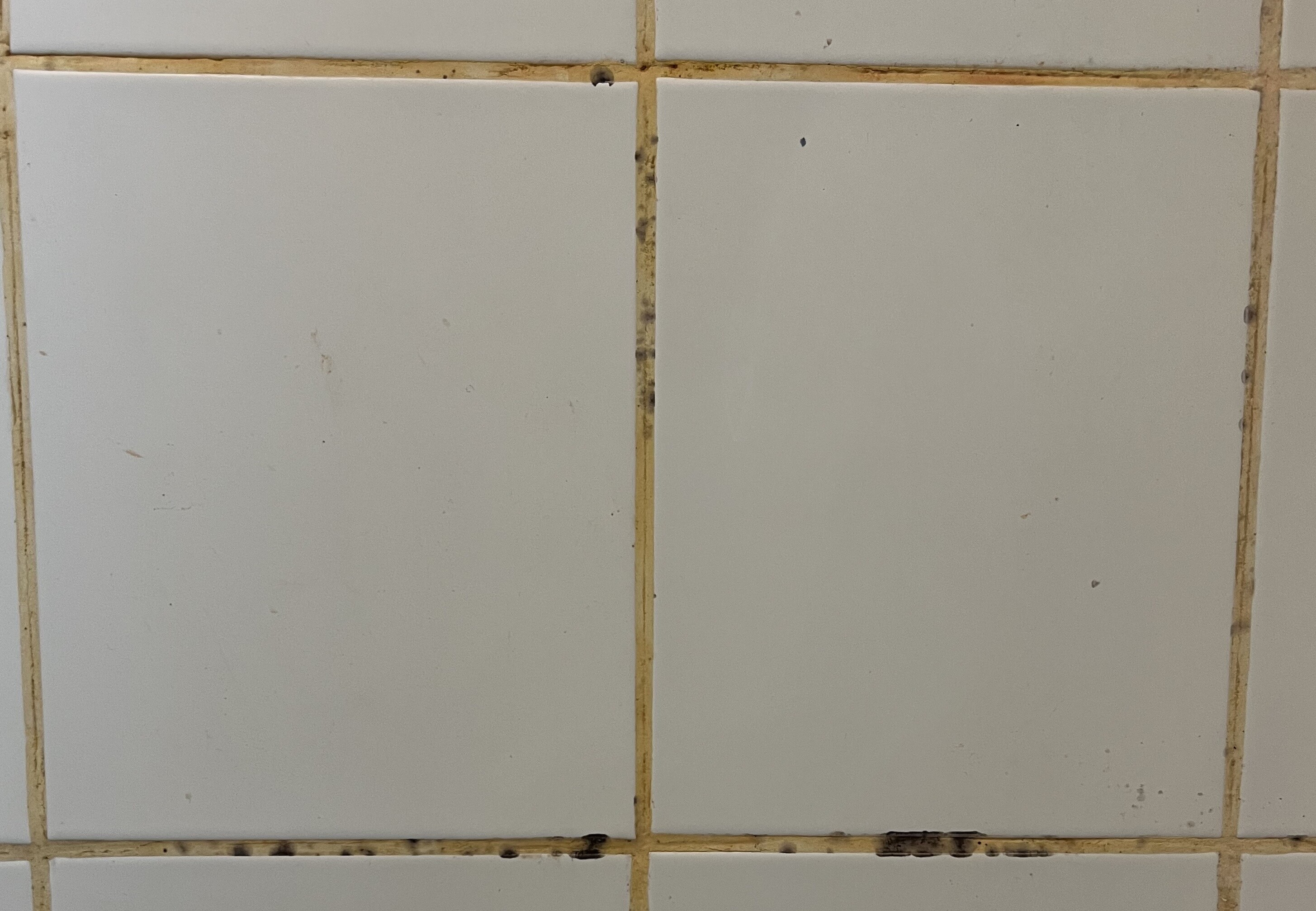 HOW TO REMOVE BLACK MILDEW MARKS AND ORANGE STAINS