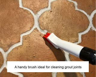 LTP Claw Brush Red