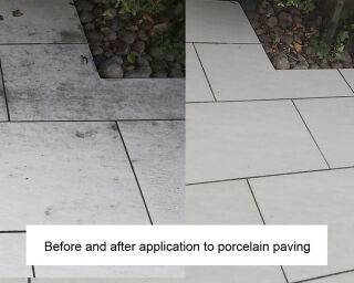 LTP Black Spot & Algae Remover
