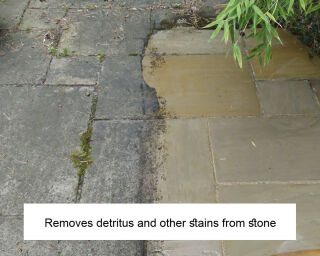 LTP Black Spot & Algae Remover