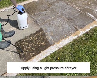 LTP Black Spot & Algae Remover