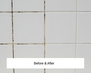 LTP Mouldex Grout Cleaner