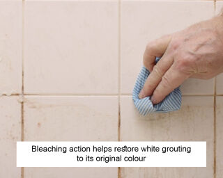LTP Mouldex Grout Cleaner