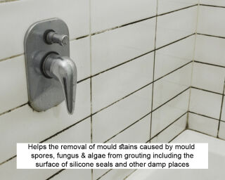 LTP Mouldex Grout Cleaner