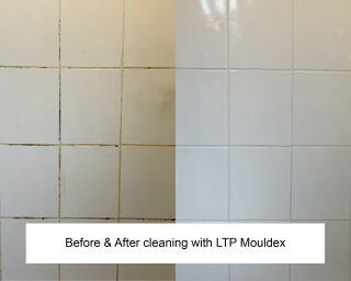 LTP Mouldex Grout Cleaner