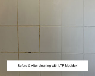 LTP Mouldex Grout Cleaner